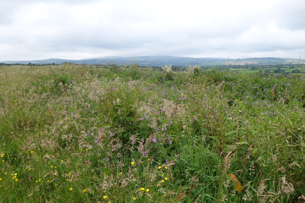 Day 20: West Carmarthenshire to&nbsp;Maenclochog