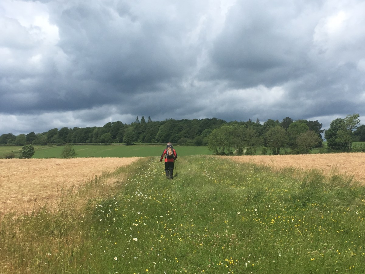 Day 4: Somerford Keynes to Oakridge&nbsp;Lynch